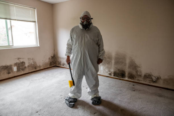 Best Toxic Mold Removal  in Osceola, WI